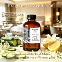 Huile aromatique sans eau inspirée du Ritz Carlton, parfum intense et longue durée, pour diffuseur d'arômes d'hôtel