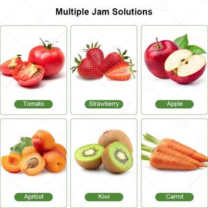 Línea de Producción de Planta Procesadora de Tomate Totalmente Automática y Completa para la Elaboración de Pasta de Tomate, Capacidad de 100 kg/h, con Todas las Máquinas - Product Image 6