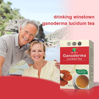 Sachets de thé Ganoderma Reishi Winstown en gros – Thé détox naturel et biologique au Ganoderma Lucidum Lingzhi