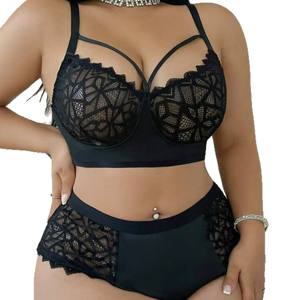 2026春季OEM批发女式大码性感内衣套装蕾丝丁字裤网纱透视蕾丝内衣文胸套装内衣 - Product Image 5