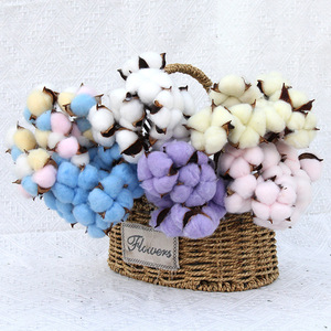 Wholesale DIY Dry <strong>Cotton</strong> Plant Bouquet Preserved <strong>Cotton</strong> Branches Natural Dried <strong>Cotton</strong> Flowers <strong>Stems</strong> - Product Image 1