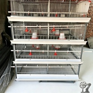 Nueva Jaula para Cría de Pollitos Tipo H, Marca HENGQI, Placa de Acero Galvanizado, Duradera, Garantía de 2 Años, Uso Comercial, Suministro Directo de Fábrica - Product Image 3