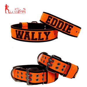 Set Collare e Guinzaglio per Cani in Nylon con Fibbia <span class=keywords><strong>a</strong></span> Sgancio Rapido Regolabile, Colori Classici Solidi - Product Image 3