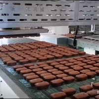 WANLI Nouvelle machine à démouler les gâteaux et pains personnalisable, équipement de boulangerie industriel multifonctionnel