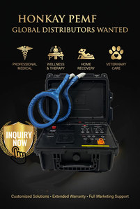 Máquina PEMF Calmante para Perros y Gatos, Alivio del Estrés, Terapia de Campo Electromagnético Pulsado, Herramienta de Bienestar - Product Image 6
