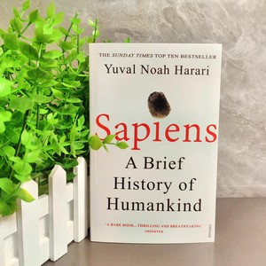 Sapiens: Tóm tắt lịch sử loài người - Sách lịch sử thế giới bán chạy nhất |   Nền văn minh của con người & Sự tiến hóa văn hóa - Product Image 1