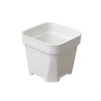 Macetas Cuadradas para Plántulas, Vasos de Plástico para Semillas, Macetas para Suculentas, Contenedores para Plantas de Jardín
