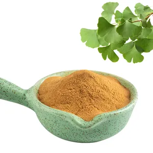 Pure Ginkgo Biloba Bladeren Extract Poeder