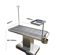 Table chirurgicale électrique pour animaux de compagnie en acier inoxydable 304, table de dissection chauffée à température contrôlée, lit chirurgical pour animaux