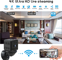 Mini caméra de surveillance sans fil 1080P étanche jour/nuit pour la sécurité domestique avec options de stockage sur carte mémoire Cloud, design solide et luxueux