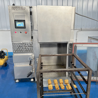 Nouveau Four à Fumage Commercial Automatique pour la Transformation de Viande (Silure, Saucisses, Bacon, Dinde) – Écoénergétique en Acier Inoxydable