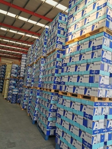 Papel Multiusos A4 Qiyin, 80gsm, Alta Blancura, Impresión Nítida para Documentos de Oficina, Hogar y Escuela - Product Image 6