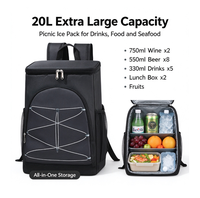 Sac à dos isotherme 20L moderne et souple, étanche, pour glace sèche, camping, pêche, plage, randonnée, extérieur, vin