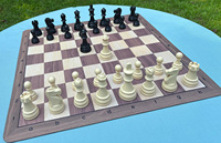 Les Pièces d'échecs en plastique ultra-résistantes à triple poids pour tournoi - Roi de 3,75 po avec 2 reines supplémentaires pour la promotion des pions