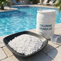2026 Produk Baru DDP Address Pool Granular untuk Pengolahan Air Kolam Renang Kelas Makanan Harga Kompetitif