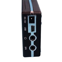 Fabrika Fiyatı Yüksek Kaliteli Plastik Elektronik Kuş Çağırıcı Ördek Kaz Cazibesi Bıldırcın Sesleri Mp3 Av Cihazı Uzaktan Kumandalı