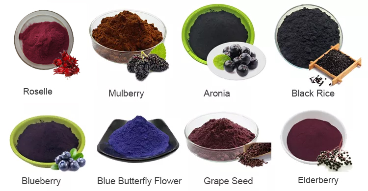 Anthocyanin Supplier Wholesale Price Bulk Mulberry Fruit Extract Anthocyanin 25% Powder