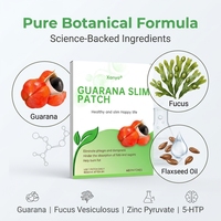 Patch Minceur au Guarana pour le Ventre, Fournisseur OEM, Patch Amincissant Naturel pour le Nombril, Patch Minceur pour l'Abdomen