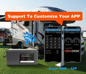 ชุดแผงโซลาร์เซลล์ 3 กิโลวัตต์ชั่วโมง 24 โวลต์ พร้อมระบบพลังงานแสงอาทิตย์ครบชุด ประกอบด้วยอินเวอร์เตอร์ แบตเตอรี่ และอินเวอร์เตอร์ สำหรับบ้าน โรงเก็บของ ฟาร์ม รถบ้าน เรือ - Product Image 4