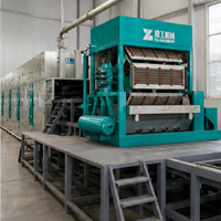 Machine à plateaux à œufs entièrement automatique YG pour le recyclage du papier usagé et l'équipement des usines d'emballage