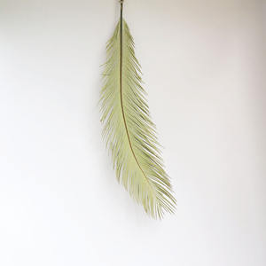 S02213 Nuevo Arreglo Floral para Decoración del Hogar, Hojas Preservadas, <span class=keywords><strong>Flores</strong></span> Secas Reales, Follaje Preservado, Cycas Revoluta Seca, Palma Sagú - Product Image 3