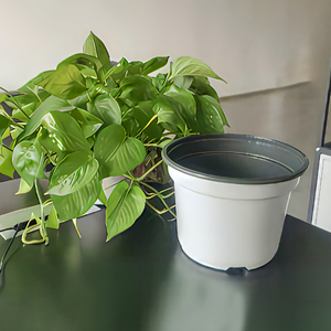 P6 vasi di plastica di Design moderno per <span class=keywords><strong>piante</strong></span> succulente all'ingrosso grandi e piccoli vasi di plastica da <span class=keywords><strong>giardino</strong></span> - Product Image 6