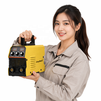 Machine à souder à l'arc MMA à haute efficacité, portable, 250A 300A, soudeuse à l'arc IGBT, technologie anti-adhérence, démarrage à chaud