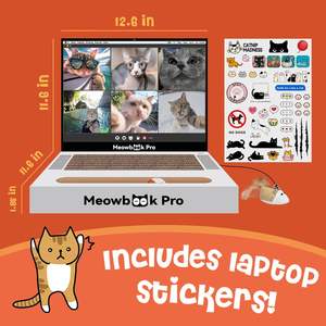 Chat Scratcher Ordinateur Portable avec Fluffy 'Mouse' Jouets Interactifs Pet Scratching - Product Image 3