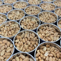 OEM Venta Caliente Cacahuetes Enlatados de 128g 150g Certificados HALAL para Cadenas de Supermercados en EE. UU. y la UE, Snack Tostado Salado Picante de Múltiples Sabores