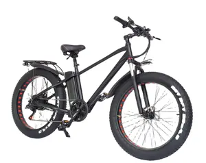 Fat Tire Electric Bike Free Shipping Factory Price Hot Sale 26 Inch 48V 750W Big Fat Tyre Mountain Electric Bike Bicycle For EK-032