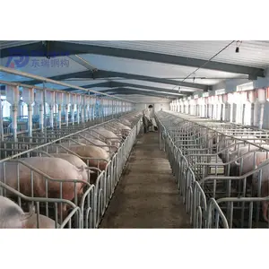 pig farm house steel structure poultry house building prefabricated piggery structure