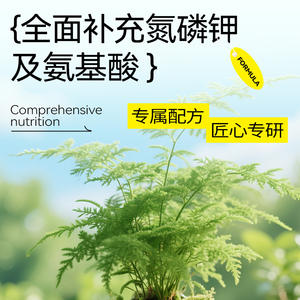 Solution nutritive à injection directe pour asperges, complètement enrichie en azote, phosphore, potassium et acides aminés - Product Image 3