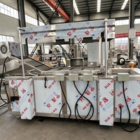 Ligne de production automatique de chips de pommes de terre 300 kg/h, machine industrielle de fabrication de frites pour usine de snacks