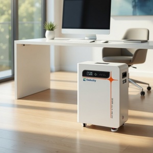 Batterie solaire au sol de 10 kWh 48V avec BMS intelligent - Product Image 1