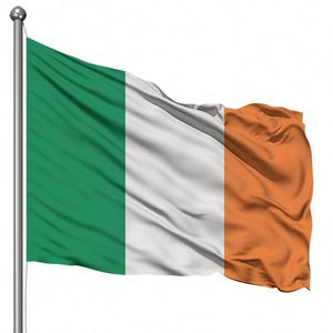 Sublimation Color Hanging Flags <b>Banner</b> on Stick Display Drapeau Flag Irish Flag Bunting - Product Image 1