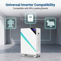 Baterai LiFePO4 Tipe Split 51.2V 300Ah 15.36kWh yang Dipasang di Dinding dengan Proteksi IP65 CAN untuk Penyimpanan Energi Surya Rumah Hibrida