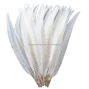 Chất Lượng Cao 15-80 Cm Nhuộm Bạc Gà lôi Đuôi Lông Cho Đám Cưới Bên DIY Thủ Công Mỹ Nghệ Carnivals - Product Image 3