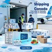 Agente de Envíos, Transporte Aéreo a Canadá, Ottawa, Aeropuerto Internacional Macdonald Cartier, Logística Express, Seguimiento de Carga, Mensajería