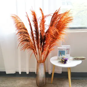 Sumflora 2023 hotel Christmas decoration club decoration reed flower wall dry flowers large pampas grass