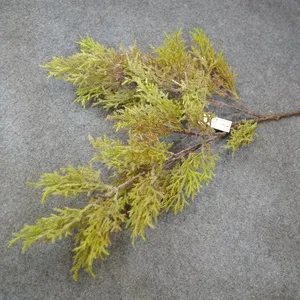 Últimas reunindo tecido artificial planta rime cipreste para decoração, guirlanda de Natal, luxo ikebana arte material