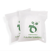 Plant Based Pla Pbat Zip Lock Pouches Custom Printed Compostable Zipper Bags for Electronic Accessory Packaging