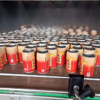 Automatische Complete Vruchtensap Wijn & Bier Productielijn Met Hoge Capaciteit Fles Vulmachine Nieuwe Staat