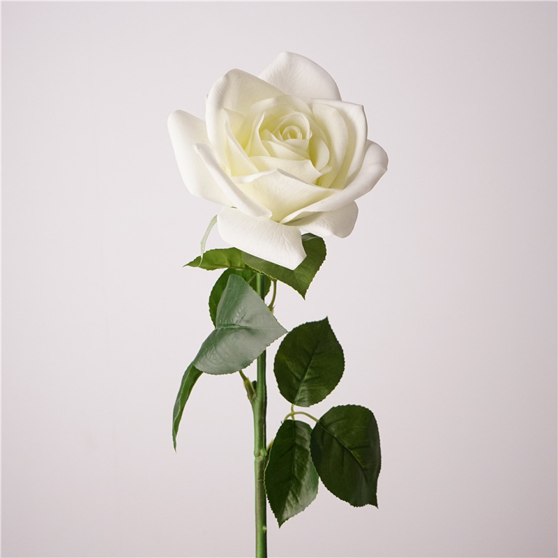 Bianco Verde