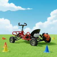 Go Kart para Adultos y Adolescentes, Kart de Gasolina de Alto Rendimiento de 2 Tiempos, Ruedas de 4-10 Pulgadas, 35 km/h, Kart Resistente para Playa y Exteriores
