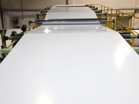 Papier offset blanc non couché 55/60/70/80 pour impression, usage photo et informatique - Prix de gros