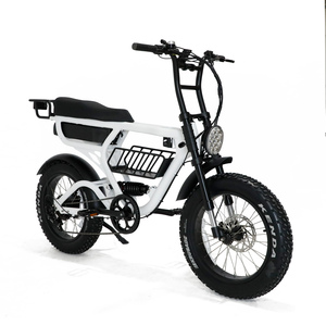 Vélo électrique à pneus larges avec batterie intégrée et moteur 48V 1000W au moyeu arrière, système de frein à disque - Product Image 1