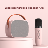 2025 P2 avec microphone Fabricant audio Vente en gros Mini haut-parleur portable pour machine de karaoké