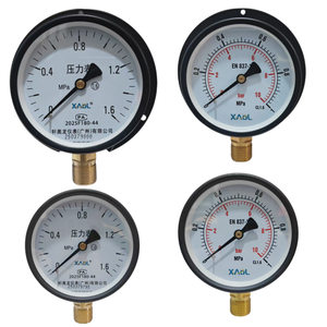 Manómetro Radial Y-60 Y-100 Y-150 Y-200 con Banda Trasera Tipo Ordinario - Product Image 2