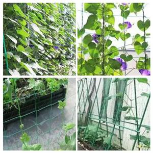 고품질 HDPE PP 메쉬 18cm*18cm 크기 2*100m 정원 콩망 식물 지지망 농업용 - Product Image 6