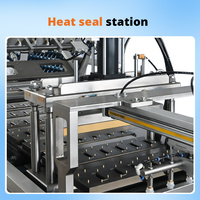 Machine d'emballage sous blister entièrement automatique HP-650 PVC PET, scellage pneumatique, machines d'emballage sous blister en carton pour super glue